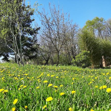 Chambre Soignee Et Accueillante A La Campagne - Ch. Jaune L'Honor-de-Cos Экстерьер фото