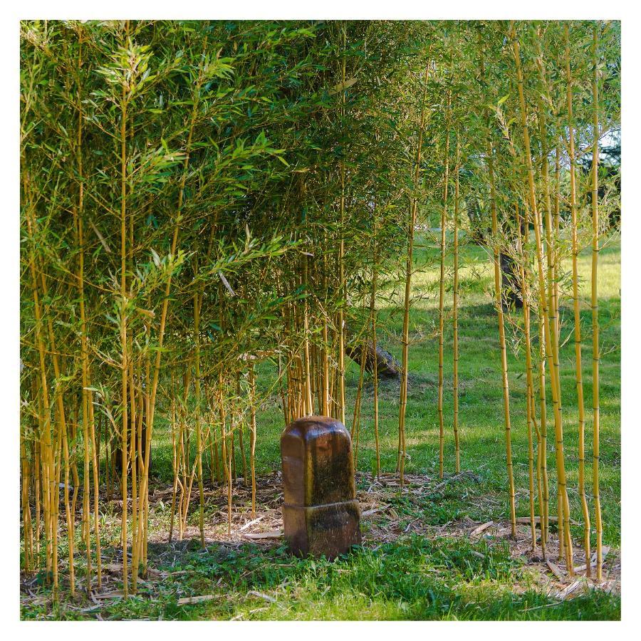 Chambre Soignee Et Accueillante A La Campagne - Ch. Jaune L'Honor-de-Cos Экстерьер фото